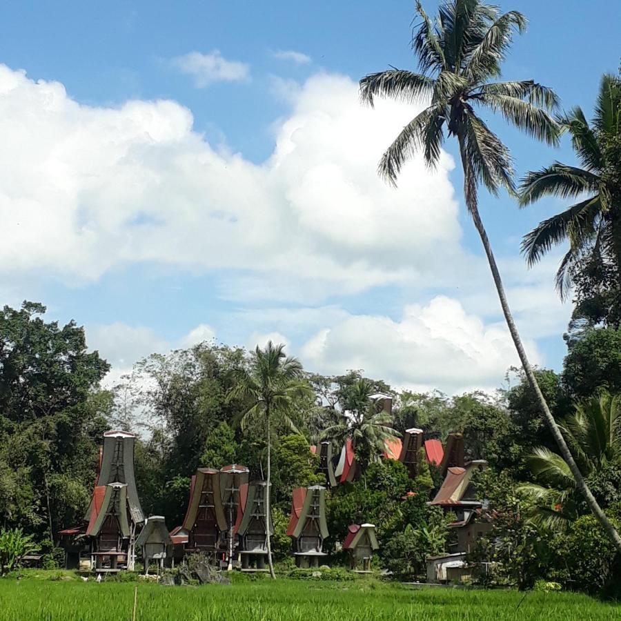 Hotel Toraja Manubackpacker Rantepao Exterior foto